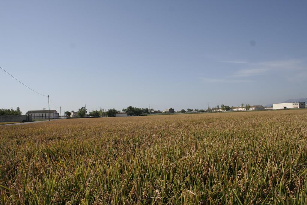 La Casilla